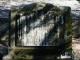 image of grave number 868749